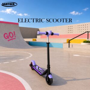 Sentosa Electric Scooter SN240